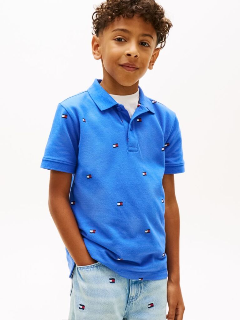 Blue Regular Fit Wavy Flag Embroidery Polo Shirt  Boys