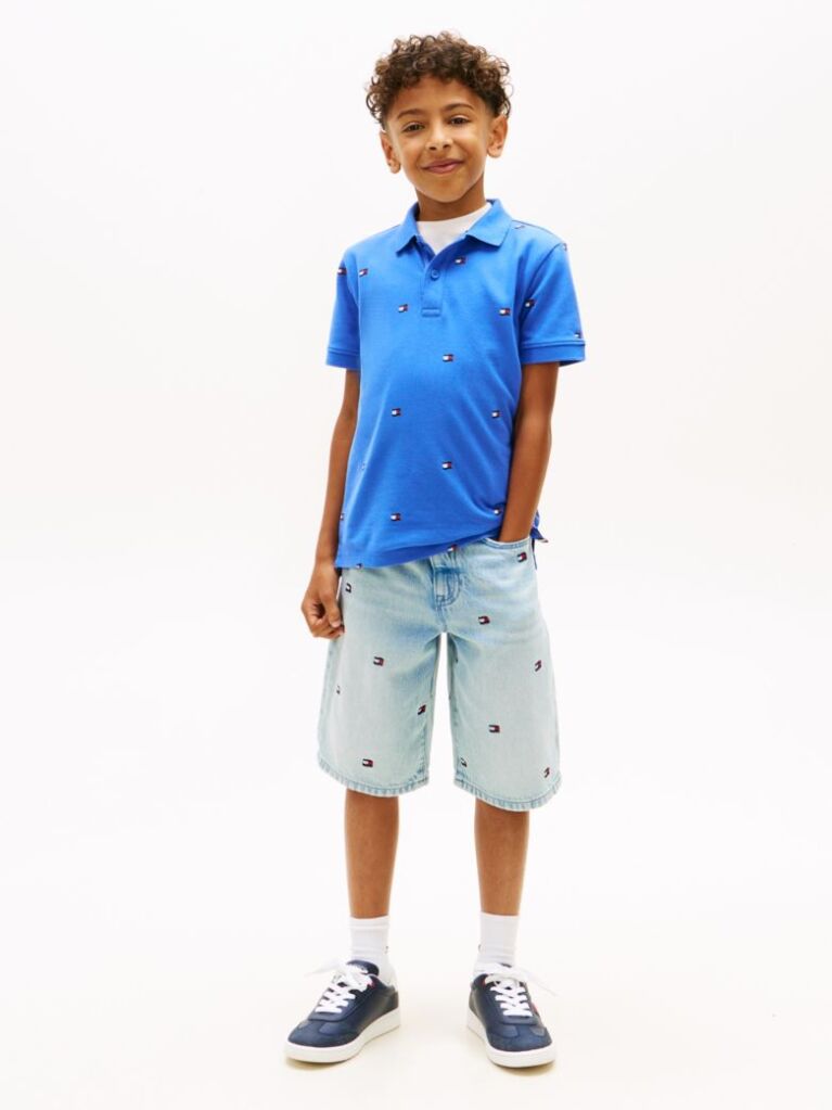 Blue Regular Fit Wavy Flag Embroidery Polo Shirt  Boys