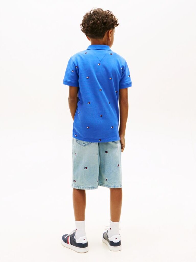 Blue Regular Fit Wavy Flag Embroidery Polo Shirt  Boys