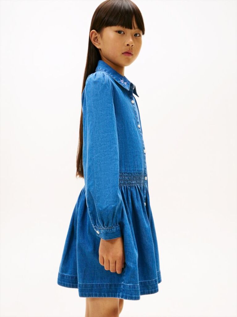 Denim Flower Embroidery Long Sleeve Denim Dress  Girls
