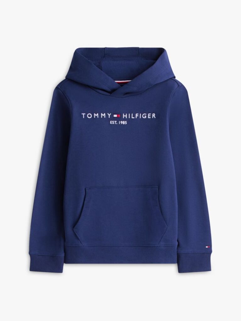 Blue Essential Logo Organic Cotton Hoody  Kids Unisex