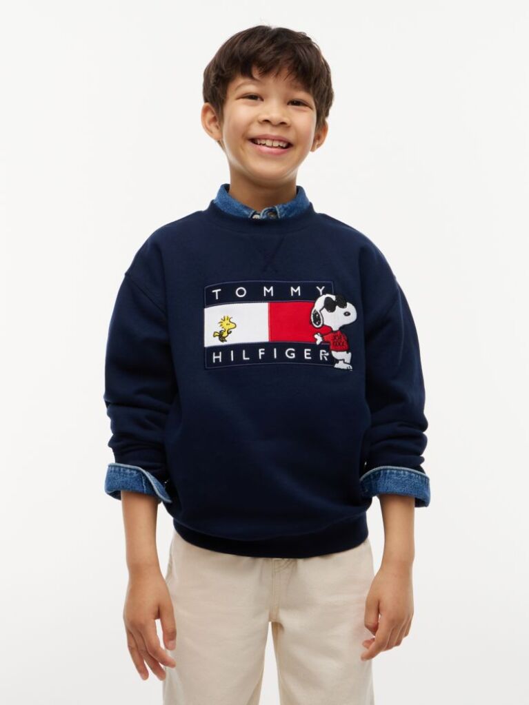 Blue Peanuts® Flag Graphic Embroidery Jumper  Kids Unisex