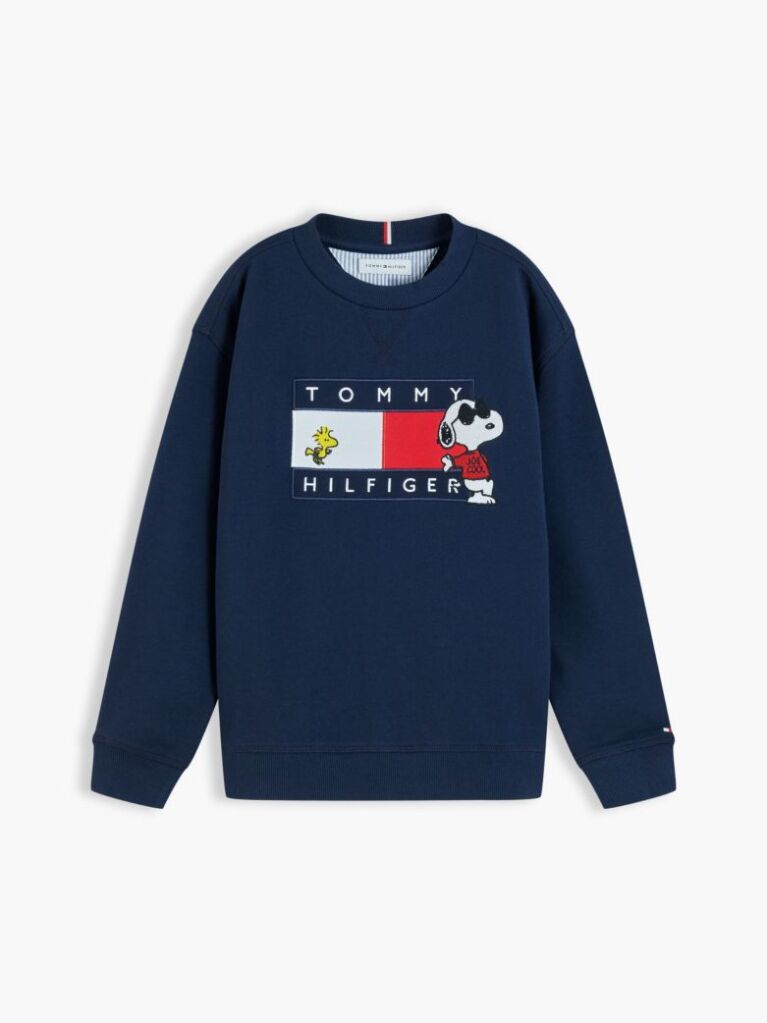 Blue Peanuts® Flag Graphic Embroidery Jumper  Kids Unisex