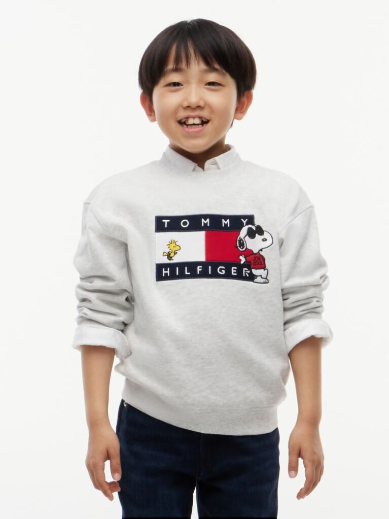 Grey Peanuts® Flag Graphic Embroidery Jumper  Kids Unisex