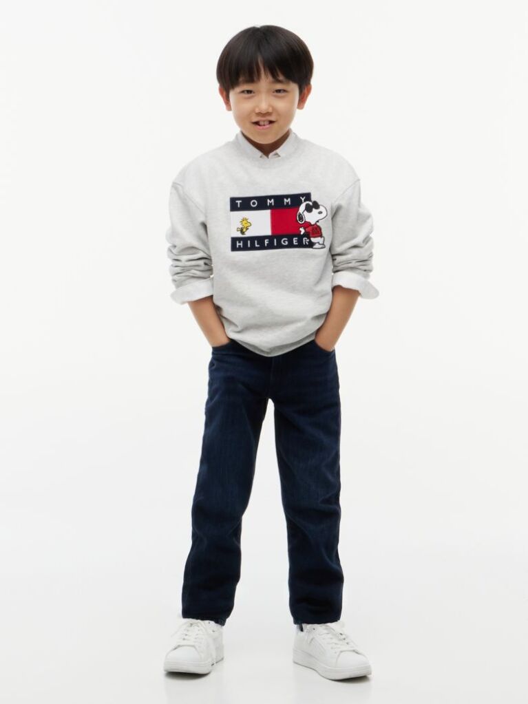 Grey Peanuts® Flag Graphic Embroidery Jumper  Kids Unisex