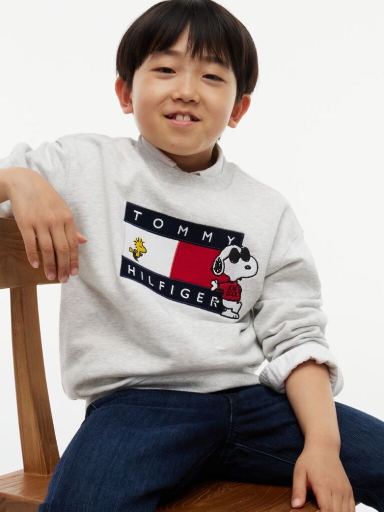 Grey Peanuts® Flag Graphic Embroidery Jumper  Kids Unisex