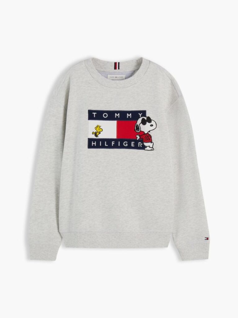 Grey Peanuts® Flag Graphic Embroidery Jumper  Kids Unisex