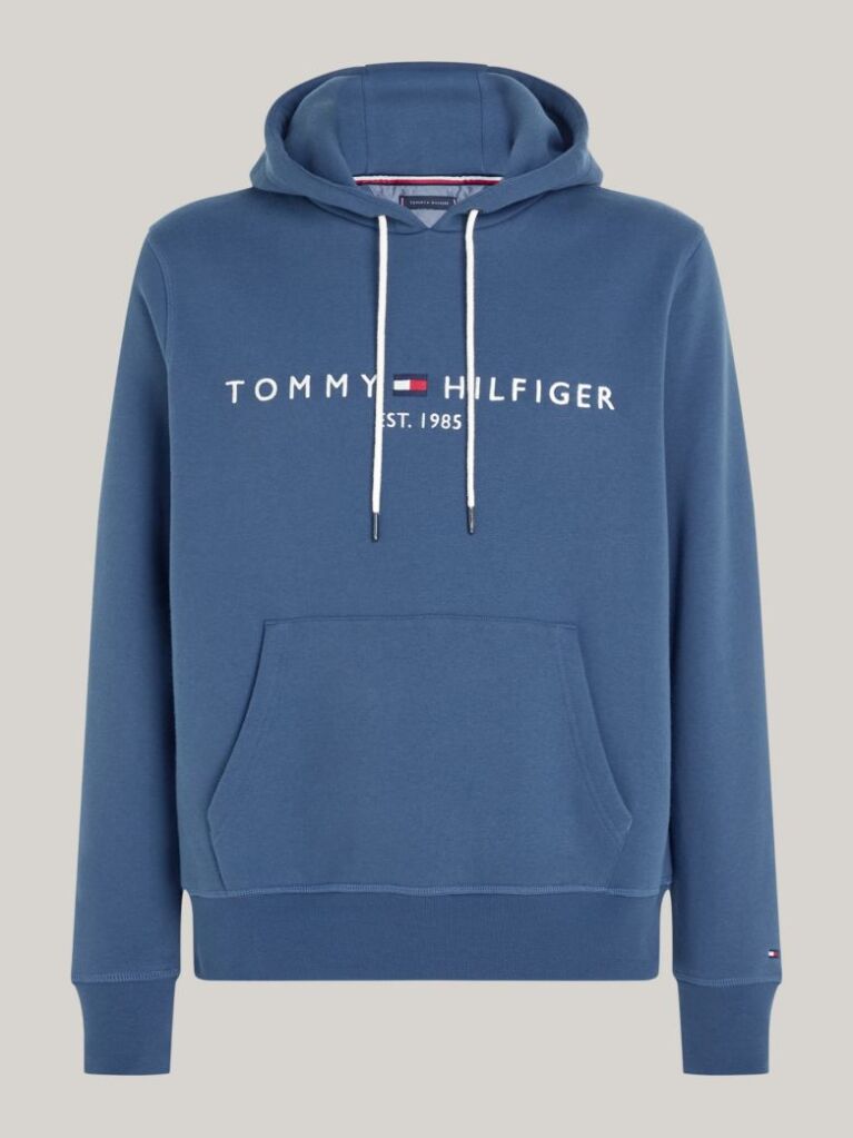 Blue Flex Logo Hoody  Men