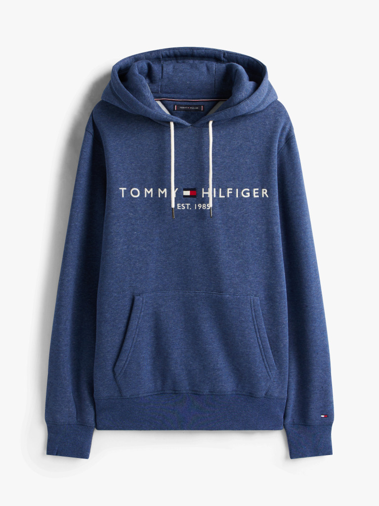 Blue Flex Logo Hoody  Men