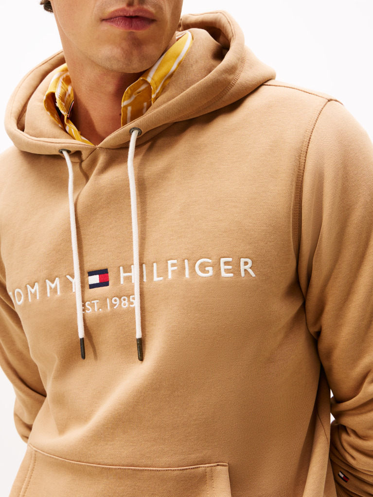 Brown Flex Logo Hoody  Men