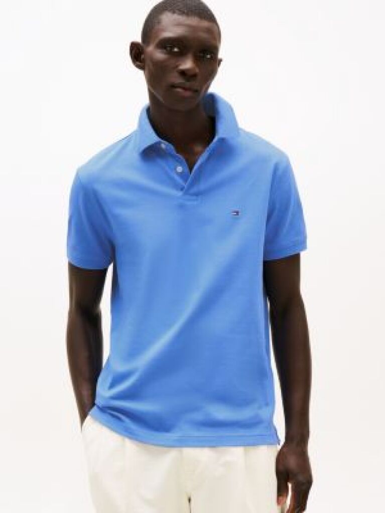 Blue 1985 Organic Cotton Regular Fit Polo  Men