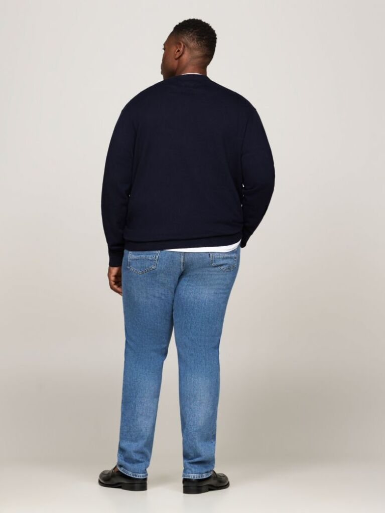 Blue Plus Heathered Knit Regular Fit Jumper  Men