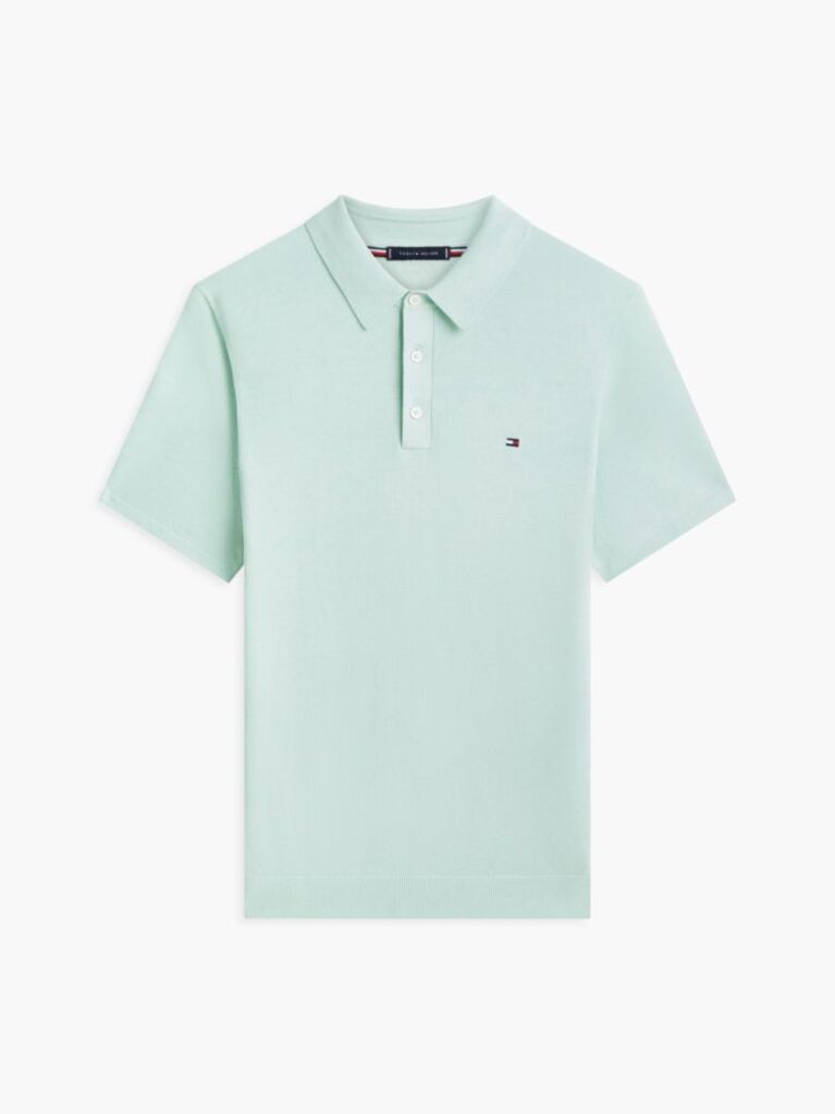 Green Regular Fit Knit Polo Shirt  Men