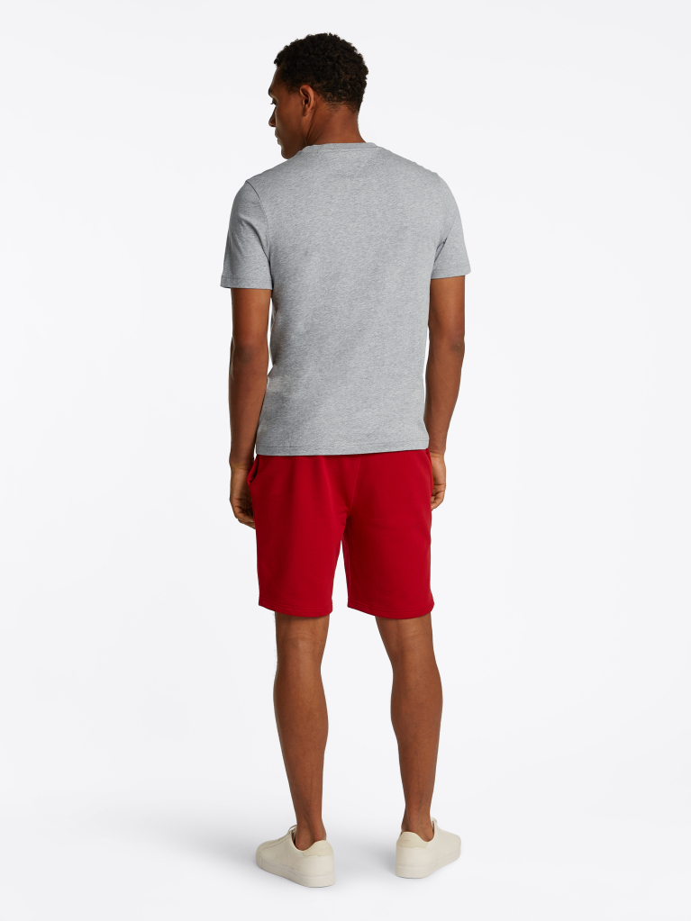 Γκρι T-Shirt Με Κεντητό Λογότυπο  Άνδρες