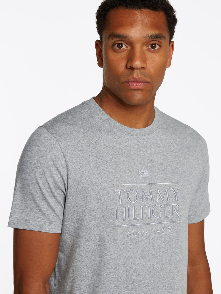 Γκρι T-Shirt Με Κεντητό Λογότυπο  Άνδρες