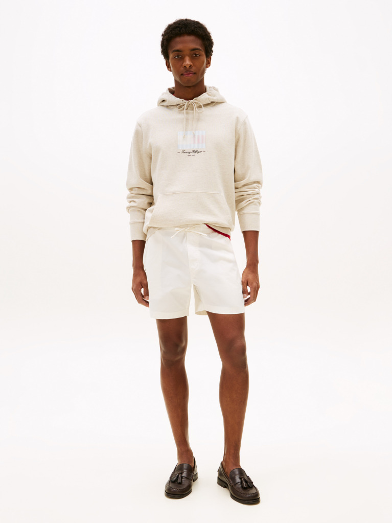 Beige Ithaca Flag Hoodie  Men