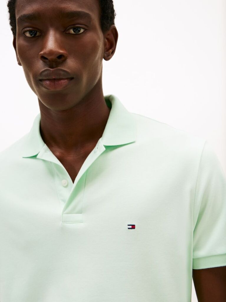 Green Regular Fit Polo Shirt  Men