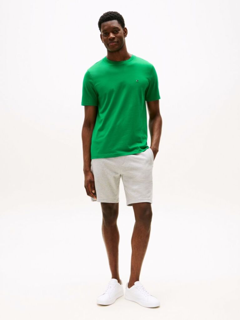 Green Flag Embroidery T-Shirt  Men