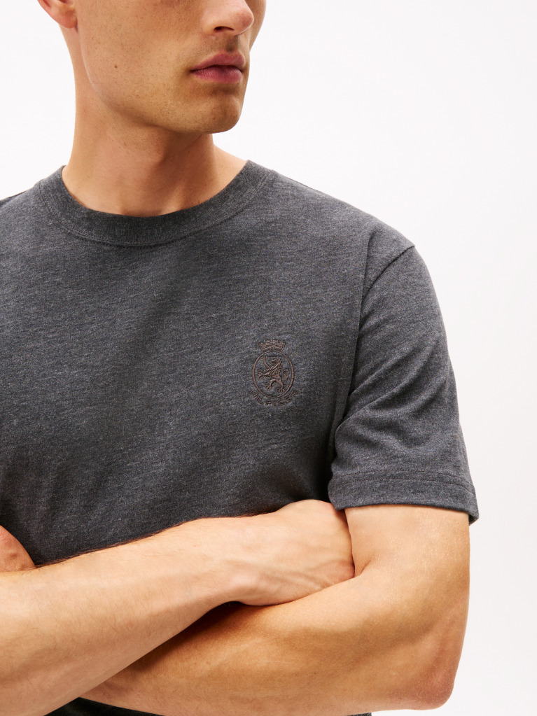 Grey Varsity Textured Crest Embroidery T-Shirt  Men