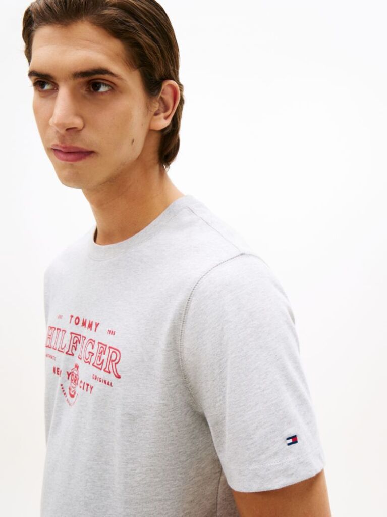 Γκρι T-Shirt Με Κλασική Λαιμόκοψη Και Heritage Σχέδιο  Άνδρες