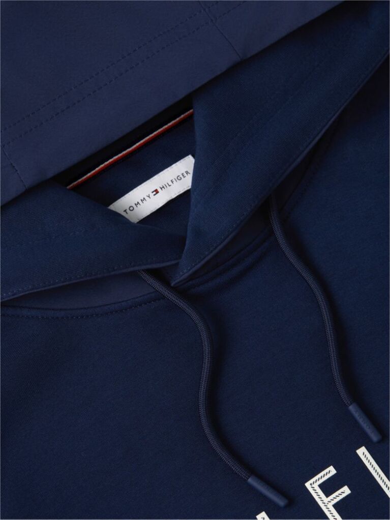 Blue Logo Drawstring Hoody  Men