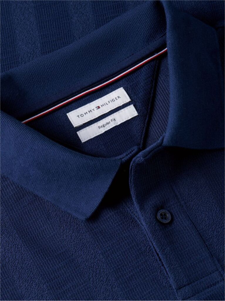 Blue Regular Fit Tonal Stripe Polo Shirt  Men