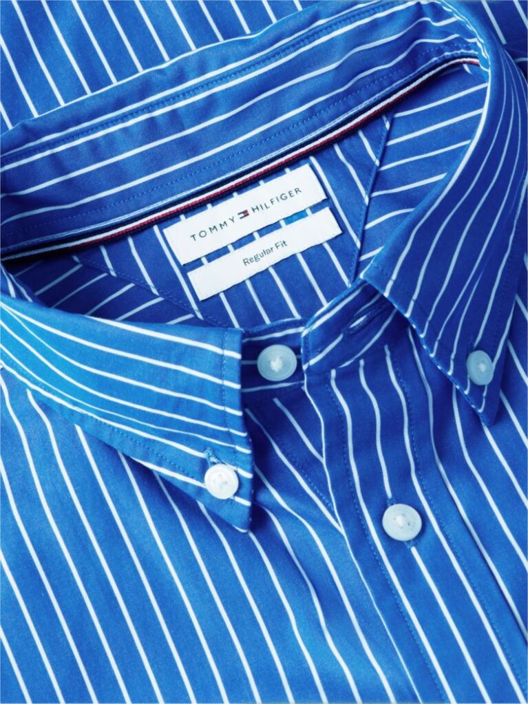 Blue Regular Fit Flex Stripe Shirt  Men