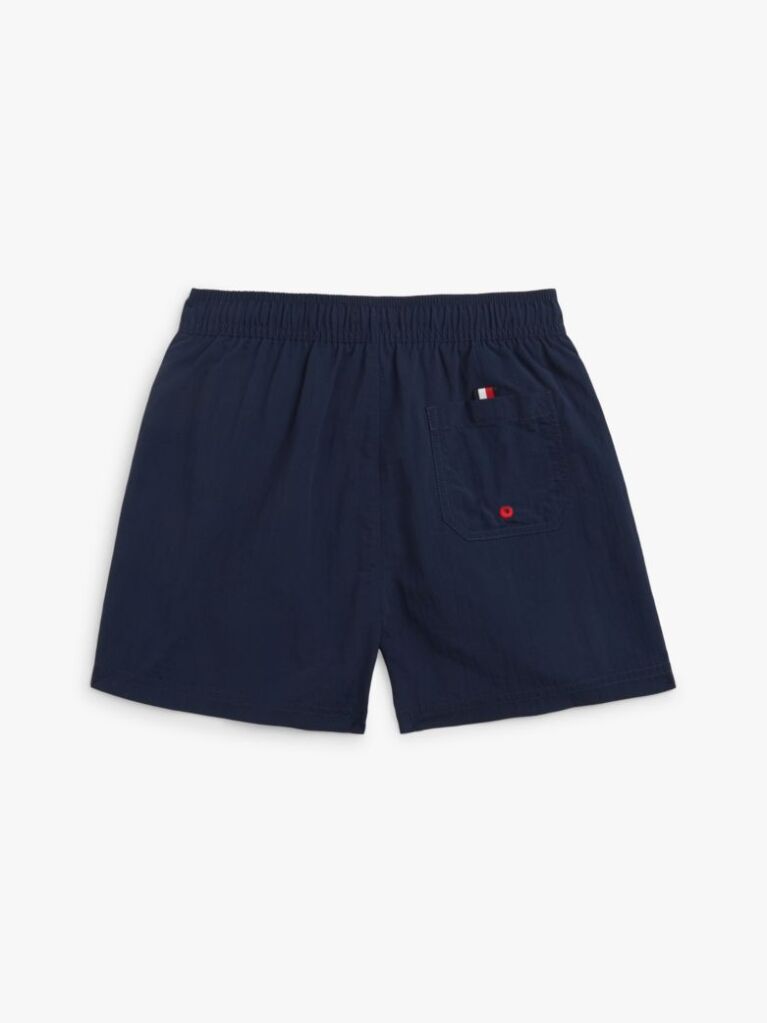 Blue Global Stripe Mid Length Swim Shorts  Boys