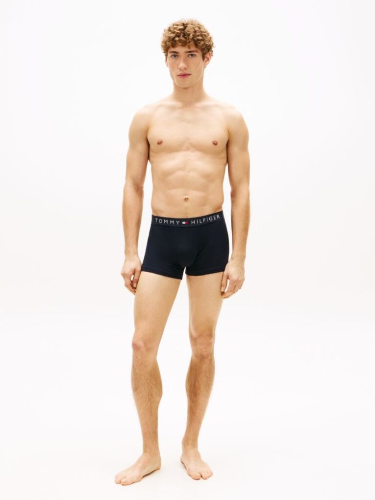 Multi 3-Pack TH Original Logo Waistband Trunks  Men