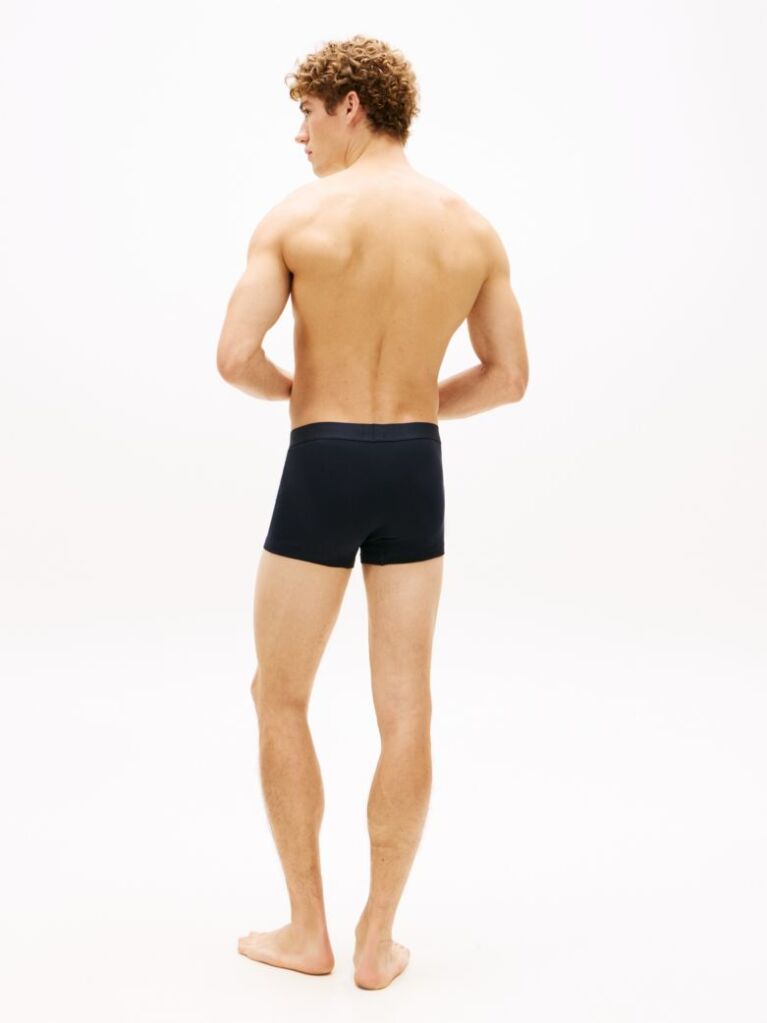 Multi 3-Pack TH Original Logo Waistband Trunks  Men