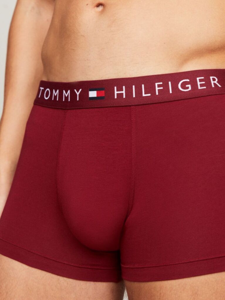 Multi 3-Pack TH Original Logo Waistband Trunks  Men