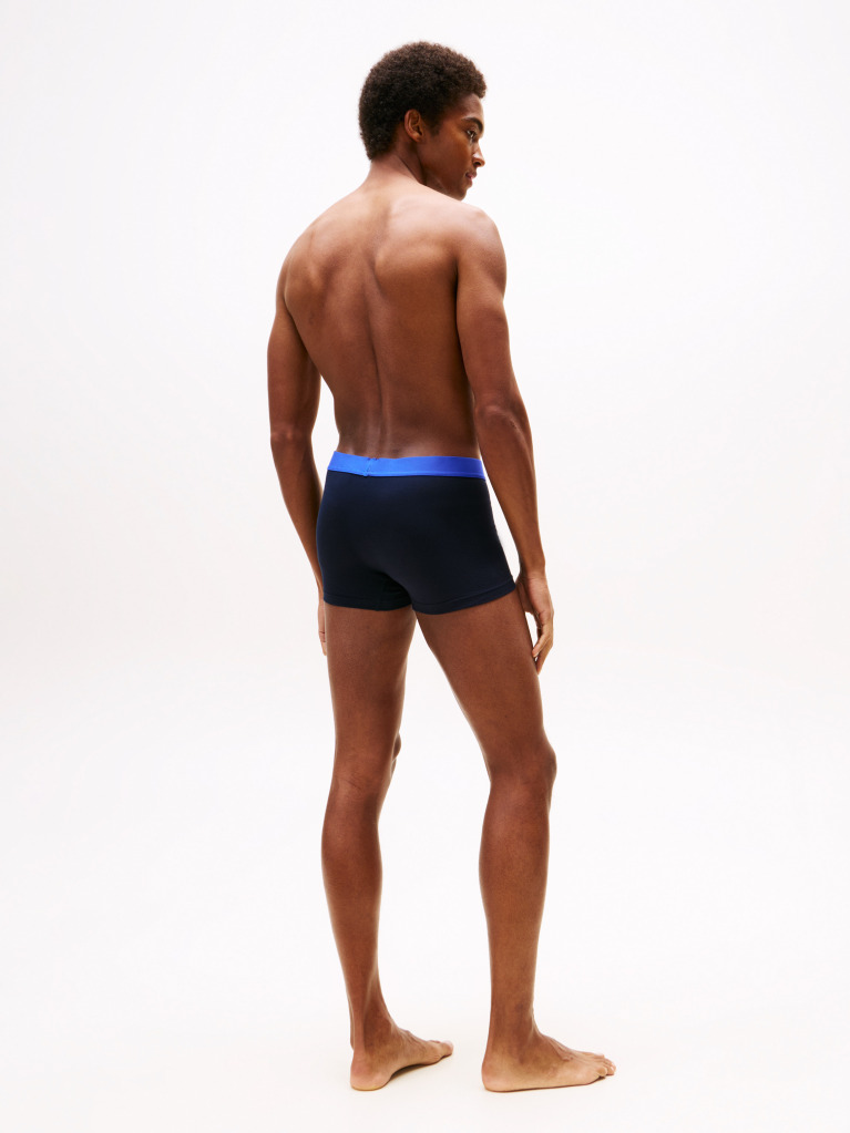 Multi 3-Pack TH Original Logo Waistband Trunks  Men