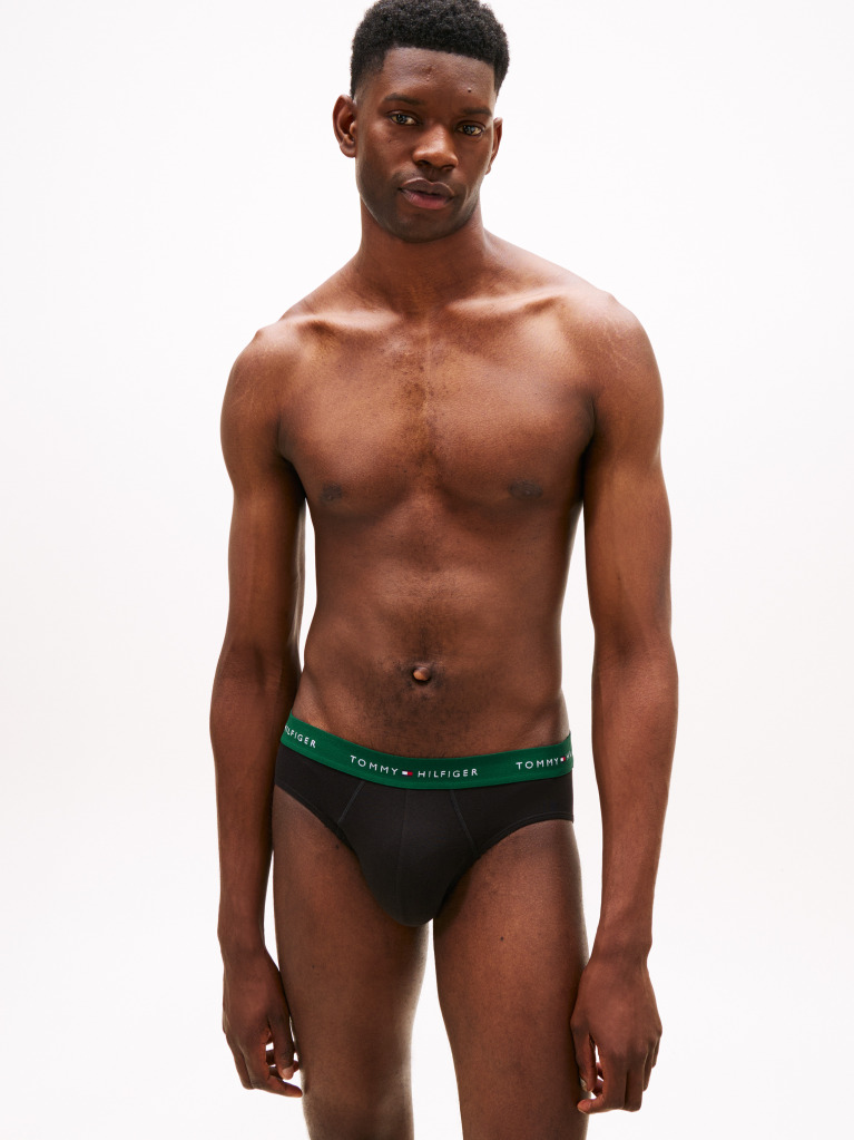 Multi 3-Pack Signature Logo Waistband Briefs  Men