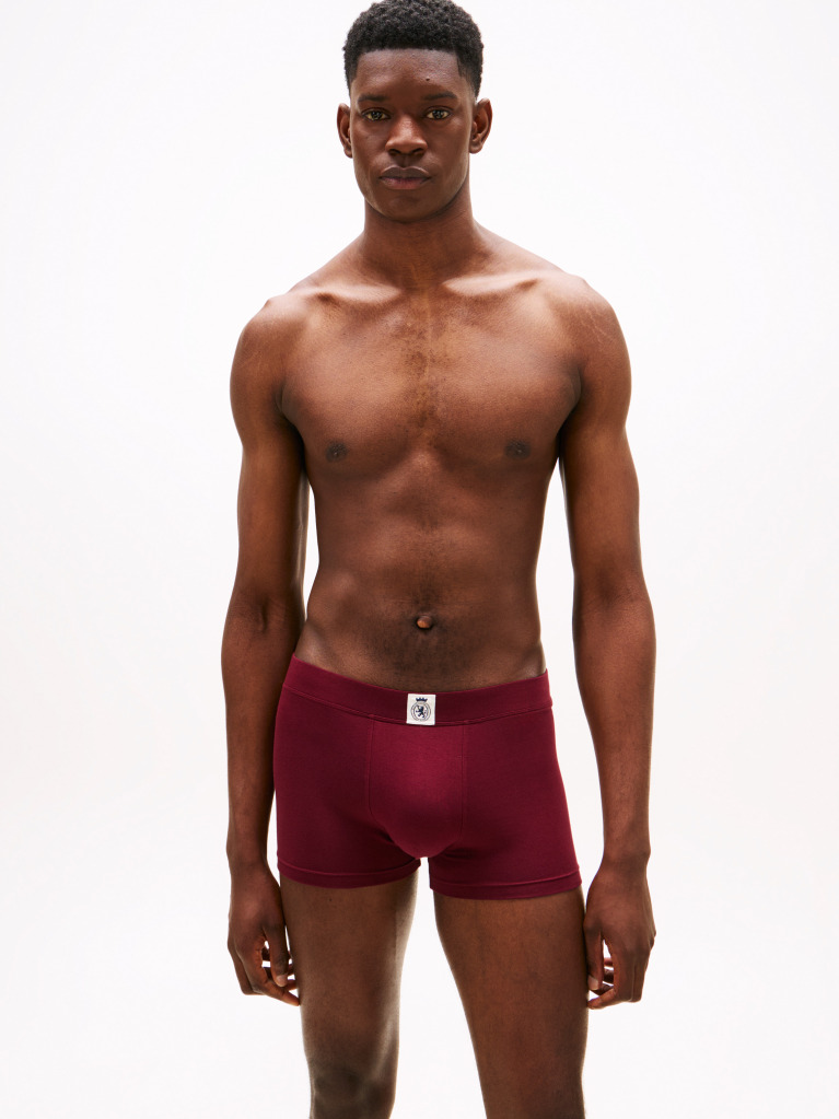 Multi 3-Pack TH Crest Logo Trunks  Men